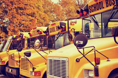 row of school buses