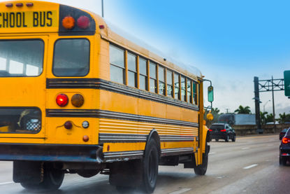 school bus on road