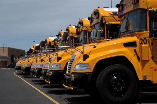 row of school buses